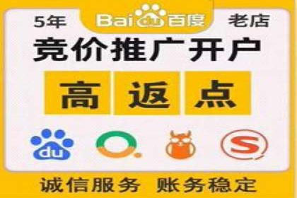 SEM推广案例：打造高效广告投放策略